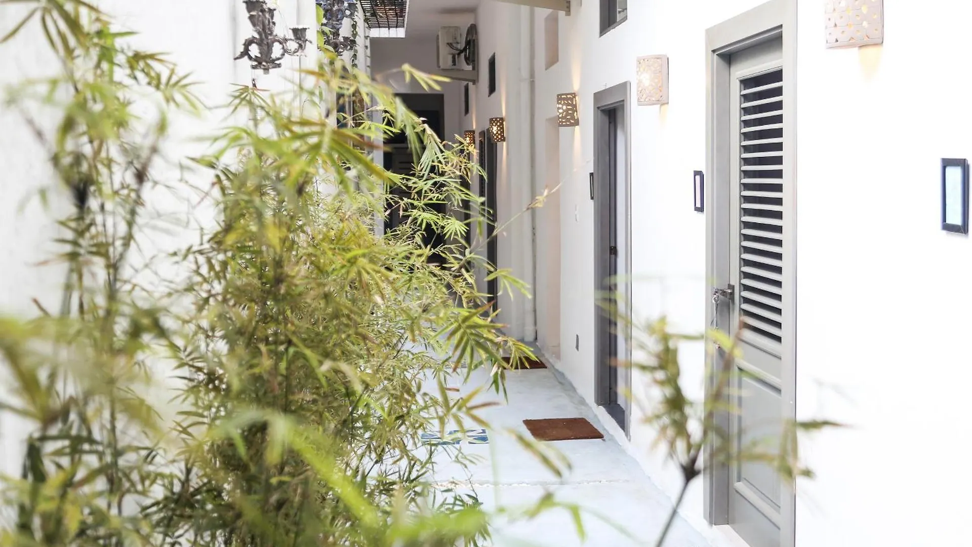 Casa Erzulie - Enjoy The Colonial City Santo Domingo
